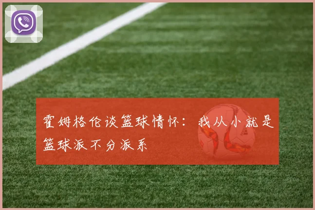 霍姆格伦谈篮球情怀：我从小就是篮球派不分派系