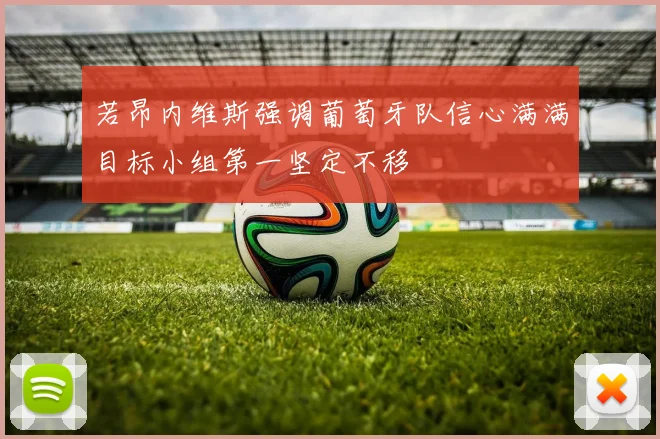 若昂内维斯强调葡萄牙队信心满满目标小组第一坚定不移