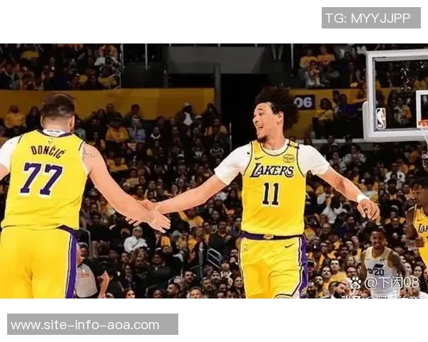 雷迪克称赞詹姆斯适应能力强与东契奇里夫斯有过合作经历